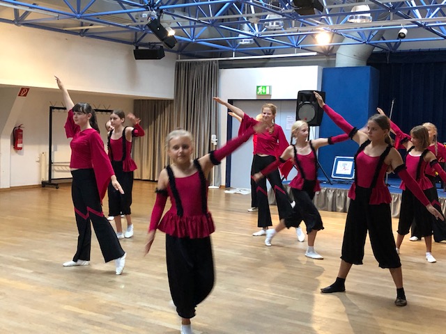 Auftritt Picknick-Dance-Konzert im LISA